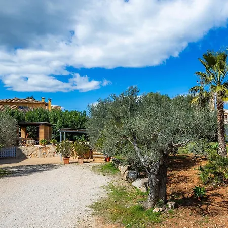 Ses Oliveres En Port Verd Villa
